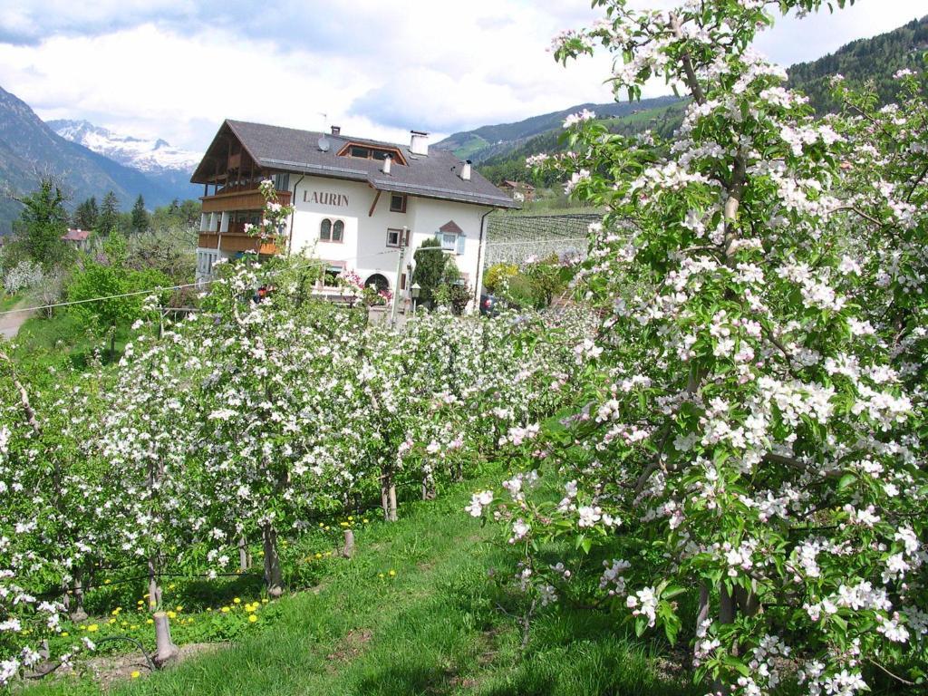 Pension Laurin Шена Екстериор снимка