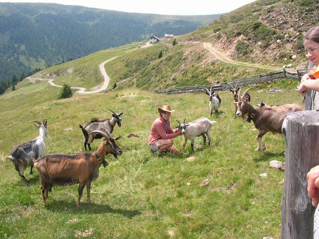 Pension Laurin Шена Екстериор снимка